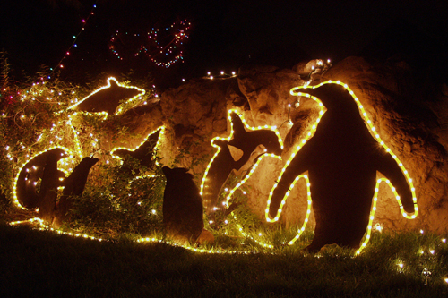 http://www.zocalomagazine.com/wp-content/uploads/2013/11/Tis-the-Season-Zoo-Lights-1.jpg